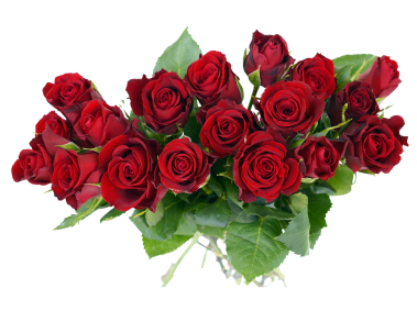 Red Rose Bouquet