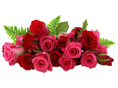 Red Roses