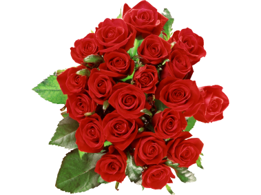 Rose Bouquet