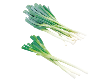 Scallion