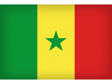 Senegal Large Flag