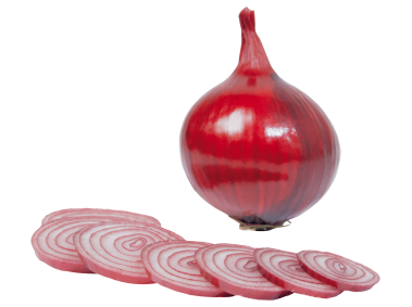 Sliced Onion