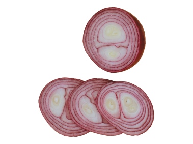 Sliced Onion
