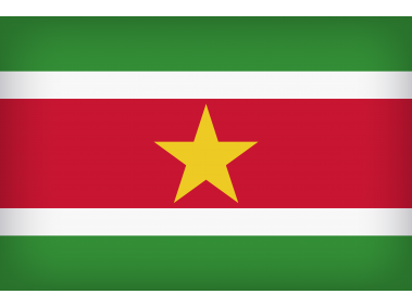 Suriname Large Flag