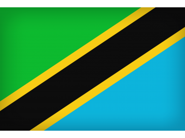 Tanzania Large Flag