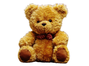 Teddy Bear