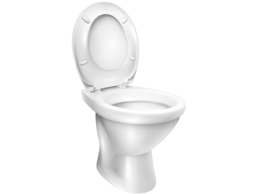 Toilet Bowl