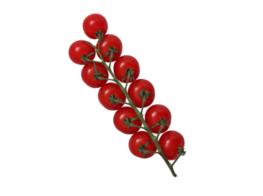 Tomato