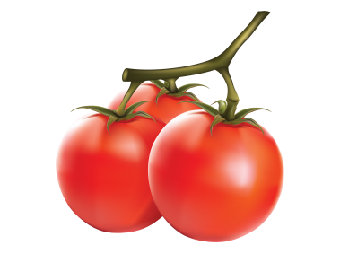Tomato