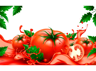 Tomato