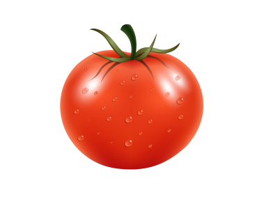 Tomato