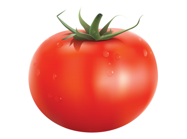 Tomato