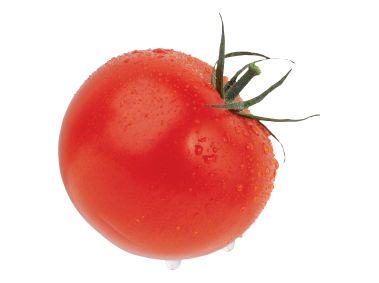 Tomato