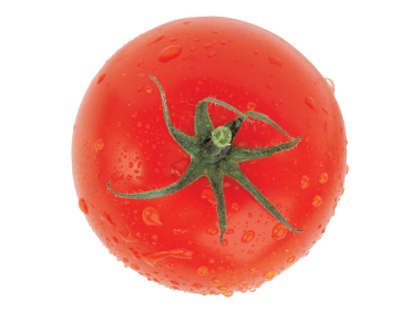 Tomato