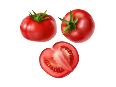 Tomato