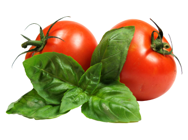 Tomato and Mint