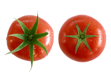 Tomatoes