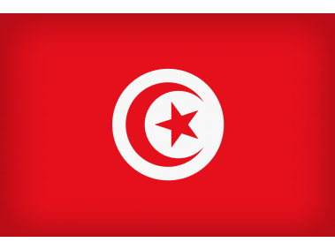 Tunisia Large Flag