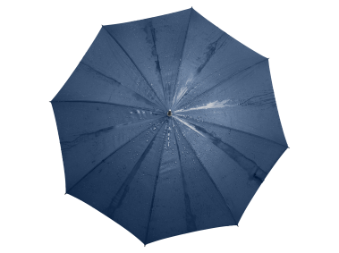 Umbrella
