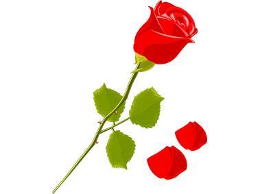 Valentines Day