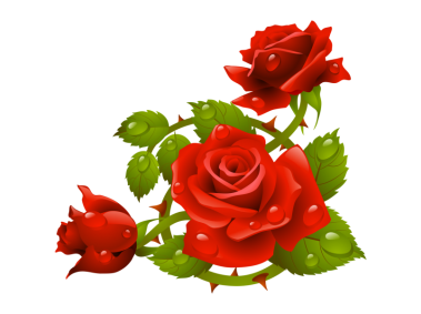 Red Rose