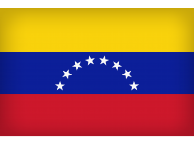 Venezuela Large Flag