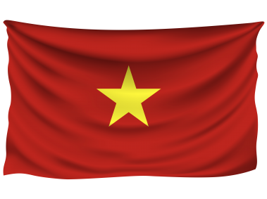 Vietnam Wrinkled Flag