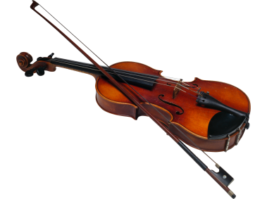Violin