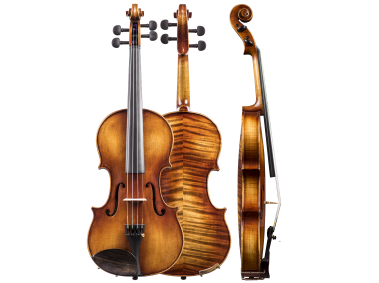 Violin