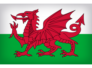 Wales Large Flag