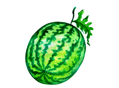 Watermelon