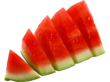 Watermelon Slice