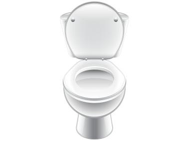 White Toilet Seat