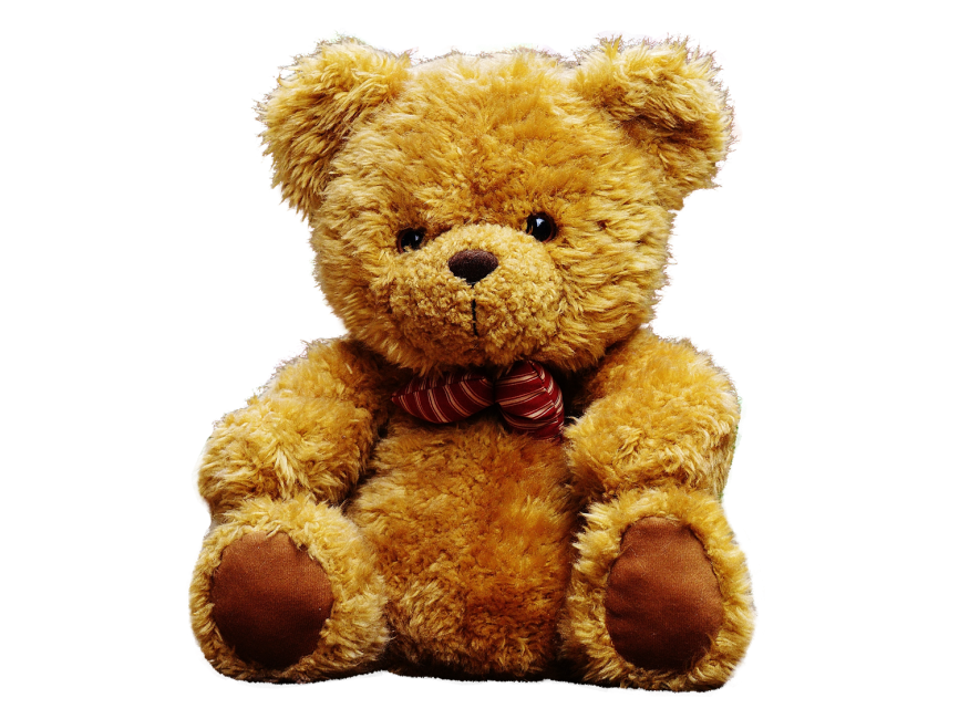 Teddy Bear