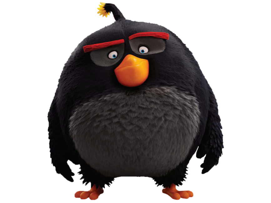 The Angry Birds Movie Bomb