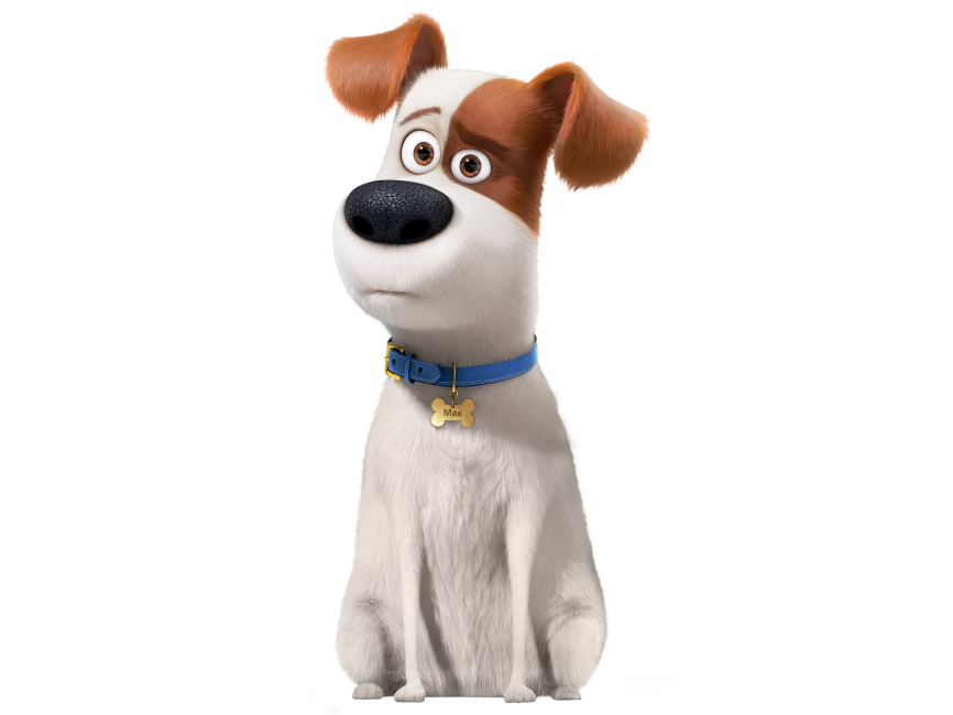 The Secret Life of Pets