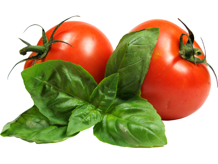 Tomato