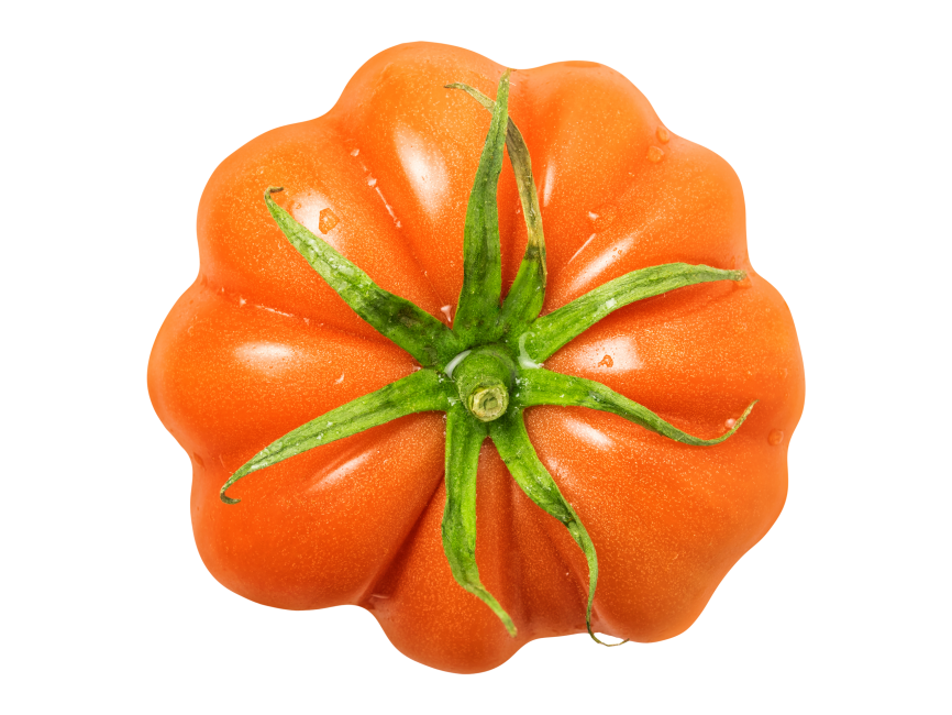 Tomato
