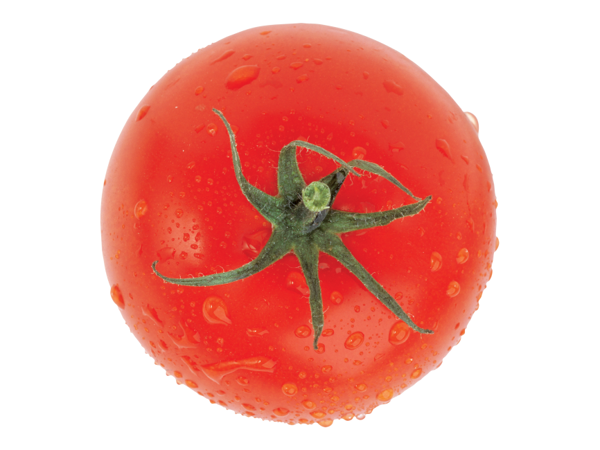 Tomato