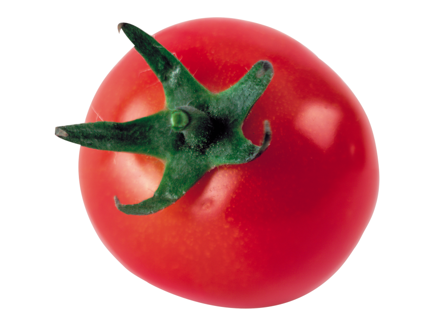 Tomato