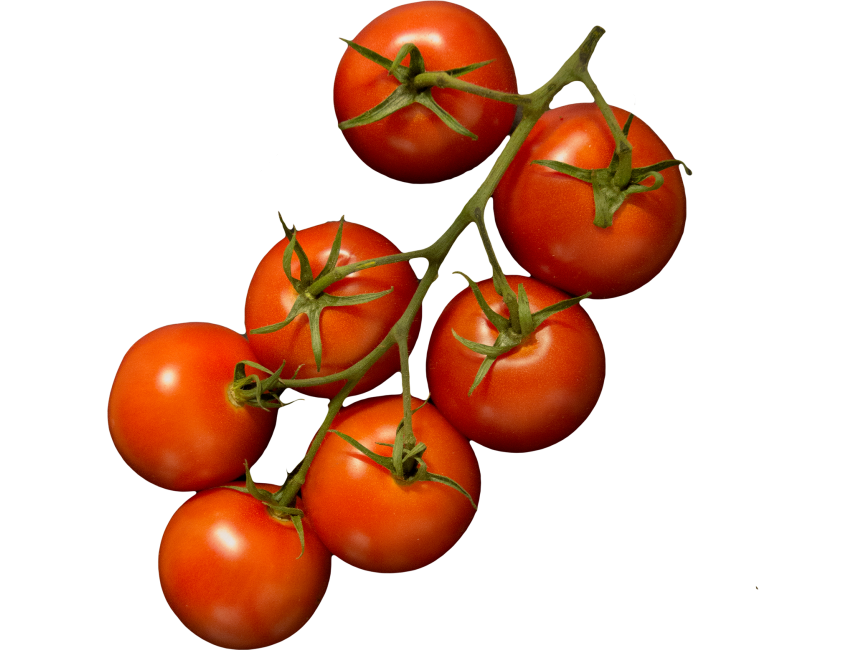 Tomatoes