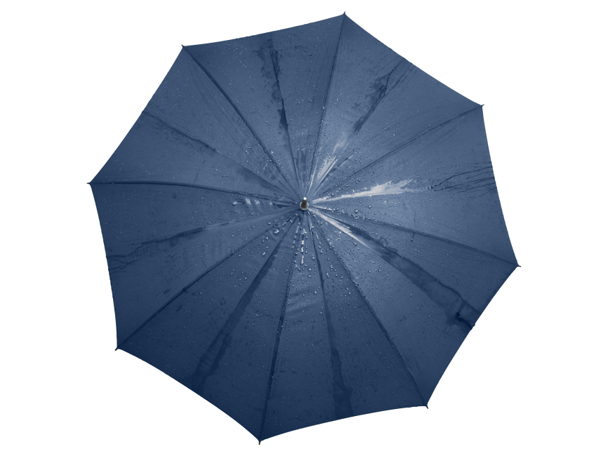 Umbrella