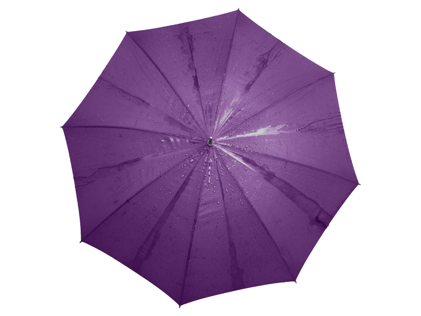 Umbrella