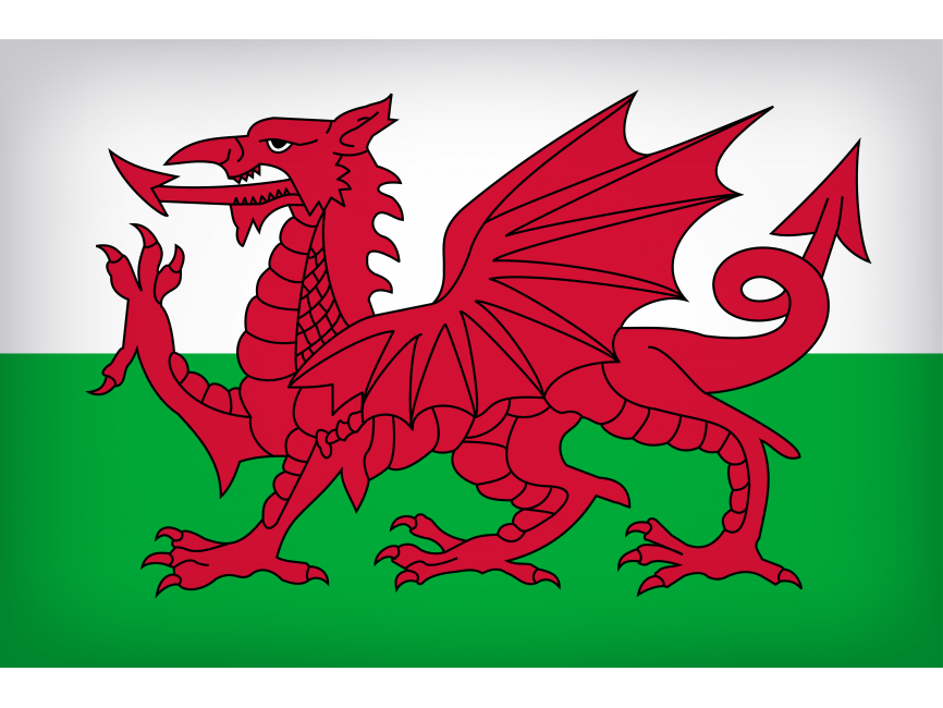 Wales Large Flag