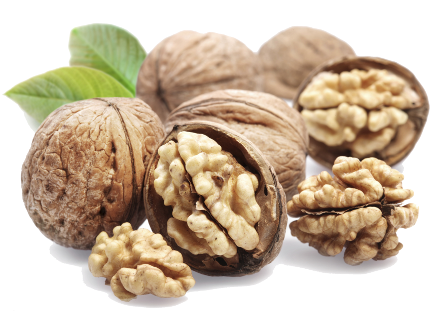 Walnut