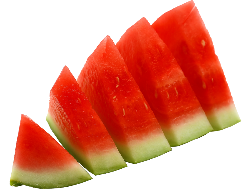 Watermelon Slice