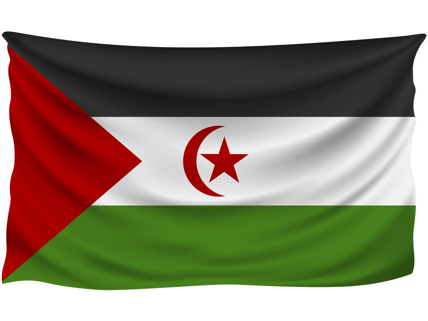 Western Sahara Wrinkled Flag