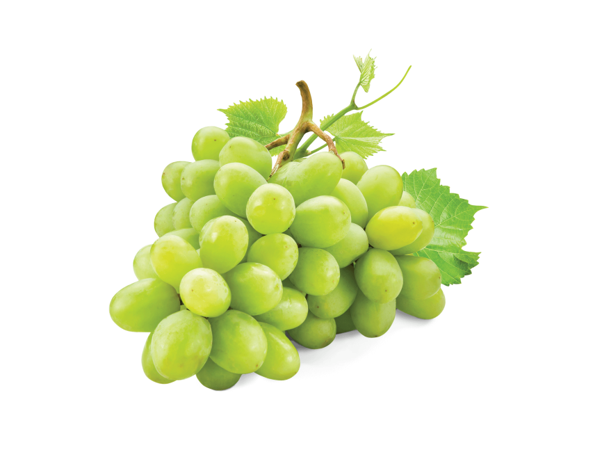 White Grape