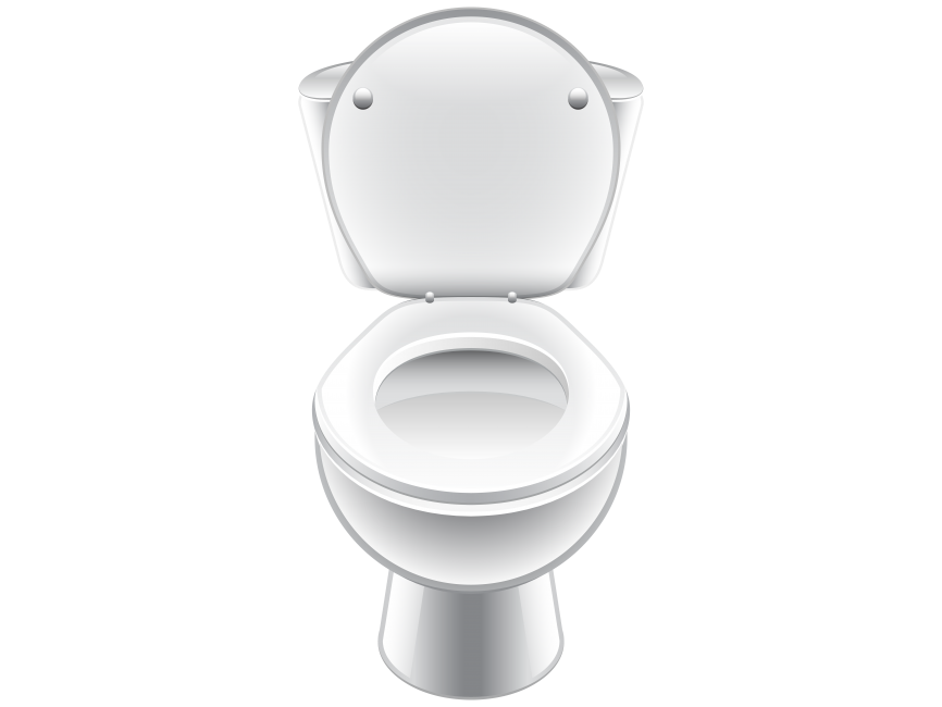 White Toilet Seat