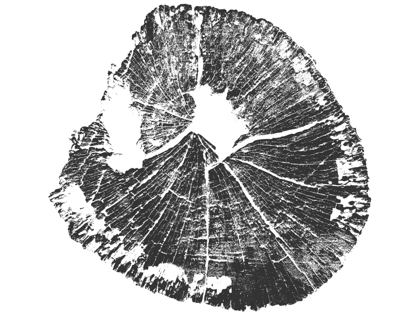 Wood Tree Stumps Pattern